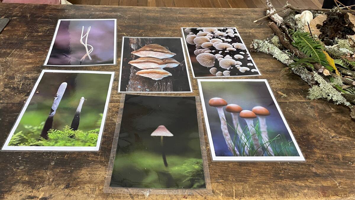 As Alison Pouliot explained at her seminar in Tilba on Friday, June 30, fungi are not only aesthetically pleasing but play an important role in conservation. Her seminar was part of the inaugural Fungi Feastival. Picture by Marion Williams.