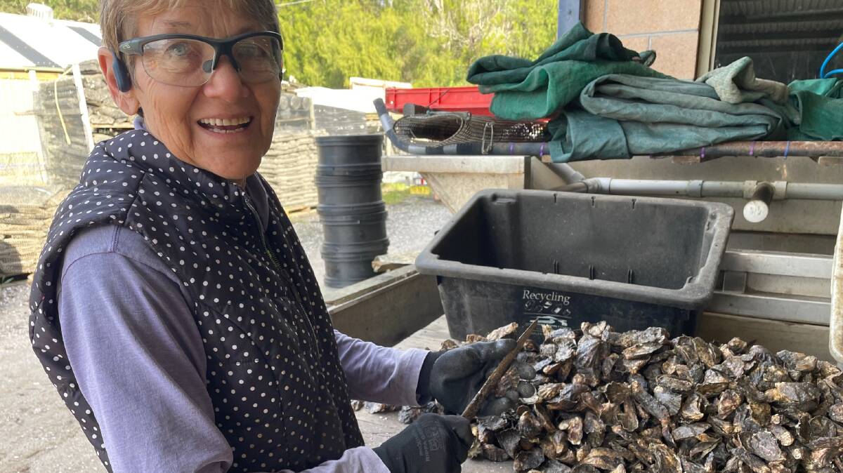 Linda Fernihough sorting oysters in the shed, was saved from semi-retirement. Picture by Vic Silk.