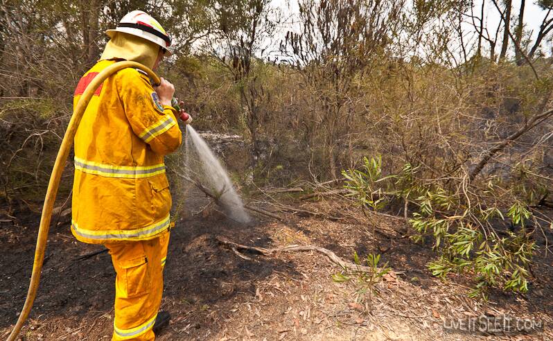 CARE NEEDED: A reader fears leaf litter in public areas in the Narooma district presents a fire risk.