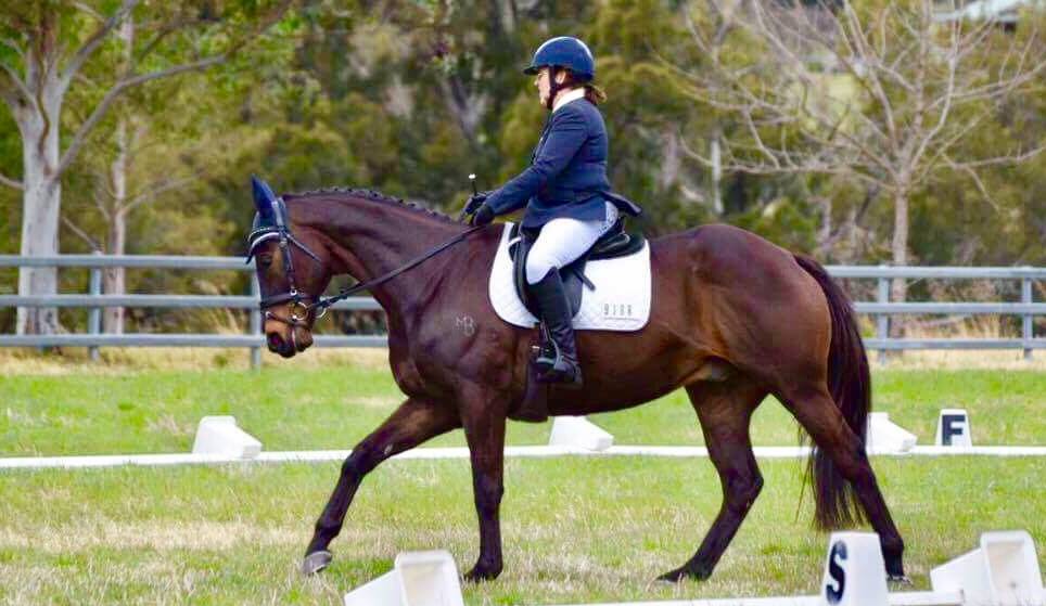 AREANA WHIZZ: Jo Freebody roder her KA Rosco to a second and a third in the Preliminary tests, at the Far South Coast Dressage Association competition at Cobargo on Saturday, Septemeber 16.