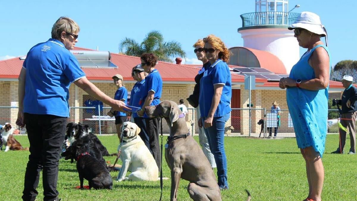 Narooma Dog Training Club instructor Amanda Doust is seen tempting Mica in the Food Refusal Test at this year's open day on NATA Oval. Owner Debbie was pleased that Mica took the treat only when she gave permission, a learned skill for the top class at dog obedience class. 