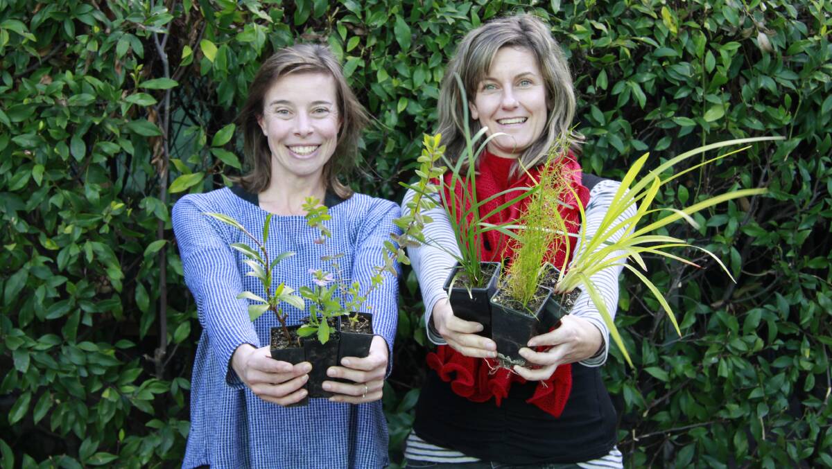 FREE NATIVES:  The Eurobodalla Council’s Landcare coordinator Emma Patyus and natural resource supervisor Heidi Thomson are encouraging the community to swap environmental weeds for free native plants this National Tree Day.  
