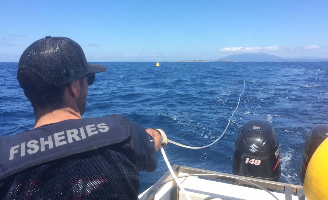 Fisheries officers installing the FAD (fish attracting device) northeast of Montague Island late last year. A new FAD should be installed this week. 