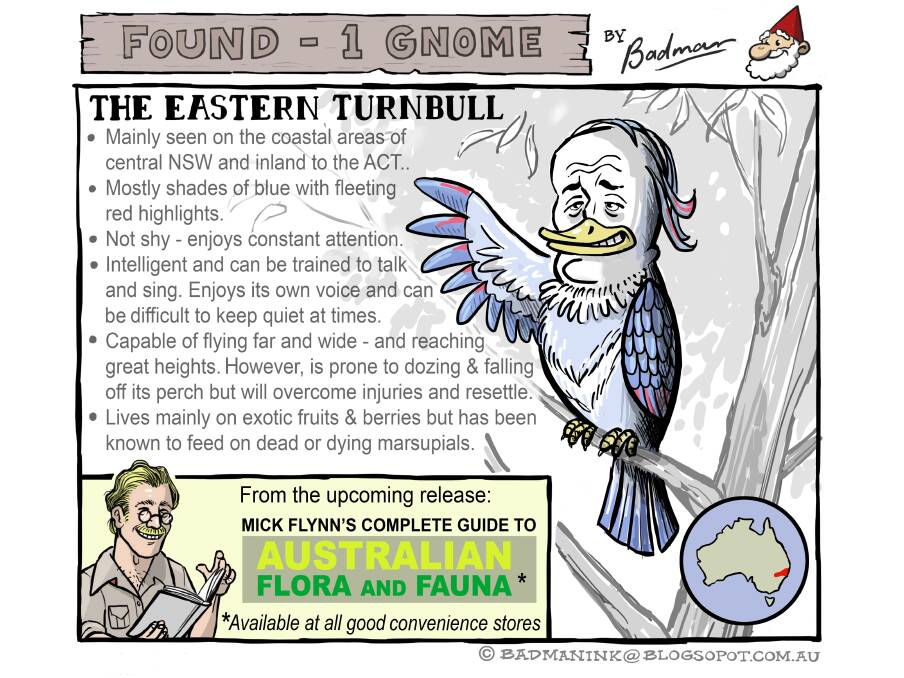 CARTOON: Mike Badman's cartoon for the week. Can you spot the hidden gnome. Check out all his work and the answer at badmanink@blogspot.com.au
