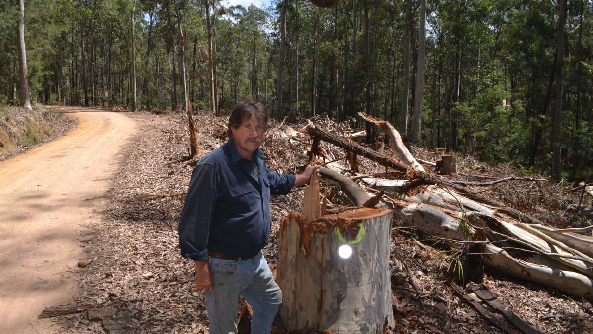 North Narooma resident Bill Braines on Wagonga Scenic Drive back in February showing the proximity of the logging operation to the popular tourist road. 