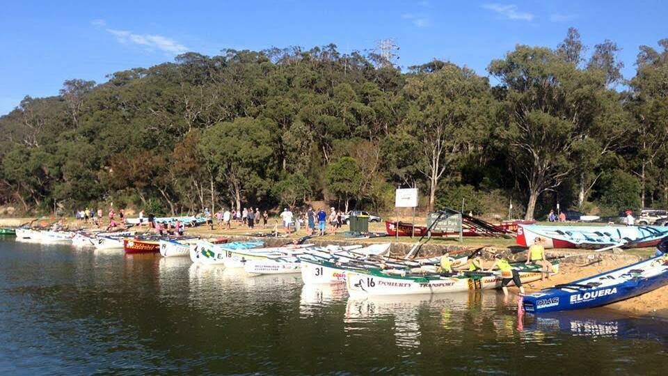 ROOSTER RUN: Narooma came 11th overall out of 37 boats competing in all age groups at the Georges River Rooster Run on Saturday. 