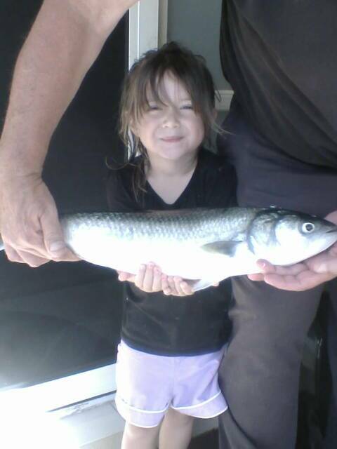 LITTLE GIRL, BIG FISH: Annalyse, 3, and the big salmon her family caught by hand in the Dalmeny lake. 