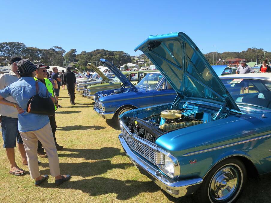 BONNETS UP: Just some of the classic early Ford Falcons on display at Narooma's NATA Oval on Sunday, a highlight of the nationals car show. Photo Laurelle Pacey