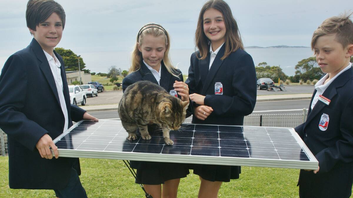 Narooma Public School captains Oscar Newton, left, Sienna Anderson, Erica De-Heaume and Kurtis Carlson with school cat Dave.  Dave and the students are excited about the upcoming Renewable Energy Expo (26-27 November) in Narooma Sport & Leisure Centre.   