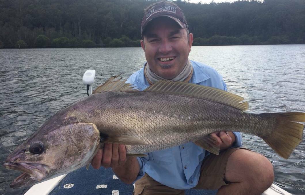 Mark's nice jewfish caught fishing the Clyde River last week with Stuart Hindson. "Rain, wind, thunder and lighting made it a interesting day." 