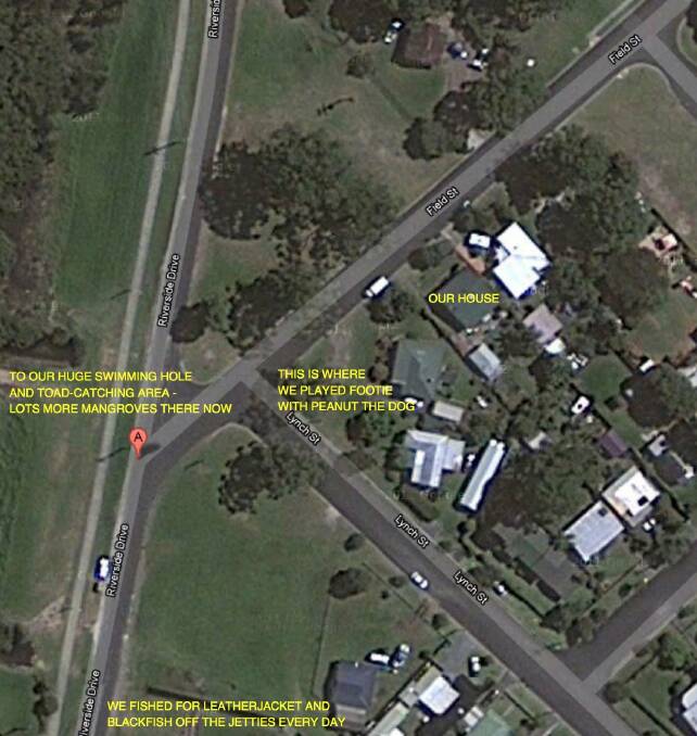 A Google Earth image of the neighbourhood on Riverside Drive, Narooma where Geoff Young grew up. It includes the spot where he played footy with Peanut the dog, and the huge swimming hole where they went fishing. 