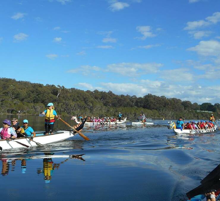 CRYSTAL CLEAR: The Mallacoota Marathon drew about 80 dragon boat paddlers to its event over the weekend. Picture: Heather Compton.