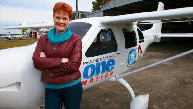 Pauline Hanson poses in front of the One Nation plane during her "Fed Up" tour. Photo: Onenation.com.au