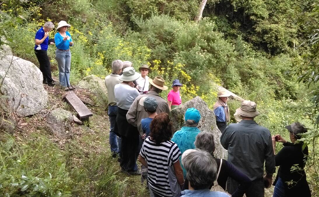 Garden visit: Members of the Australian Plant Society explore a deep forest gully on the 40-hectare property owned by Denise and Graeme Krake. 