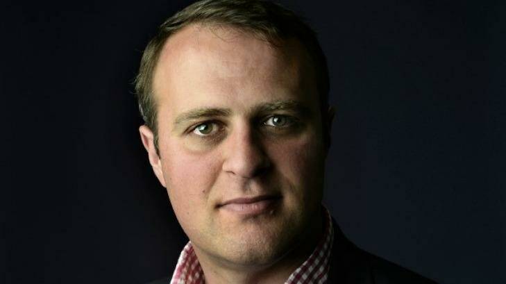 Tim Wilson, the Human Rights Commissioner, has some powerful figures in his corner, particularly in state politics. Photo:  Justin McManus