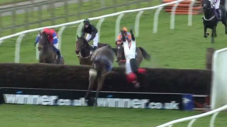 Flipping out: jockey Lewis Ferguson flies through the air after losing his mount.