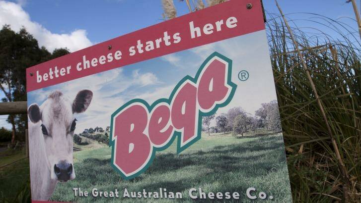 Bega Cheese hit by heavy selling by investors as expansion into baby formula market goes backwards