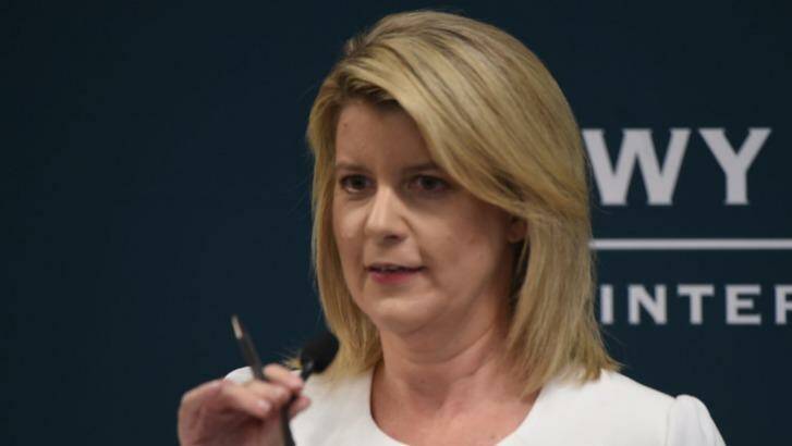 Natasha Stott-Despoja will step down in January as Australia's ambassador for women and girls. Photo: Nick Moir