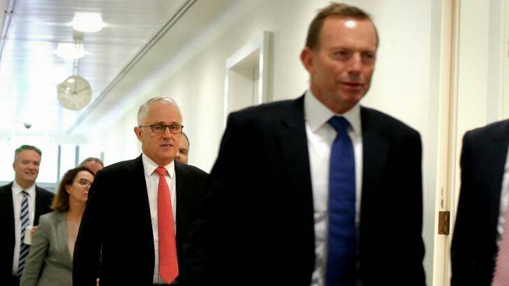 At war? Prime Minister Malcolm Turnbull and former prime minister Tony Abbott at Parliament House. Photo: Alex Ellinghausen