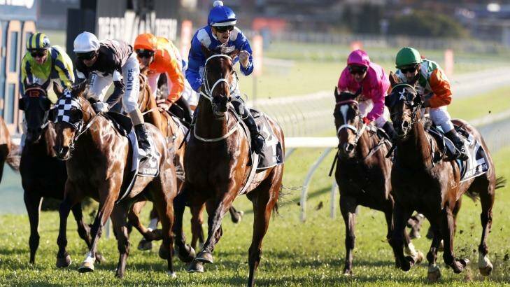 Calm after the storm: Hugh Bowman's Epsom win on Winx is the subject of an ongoing stewards inquiry. Photo: bradleyphotos.com.au