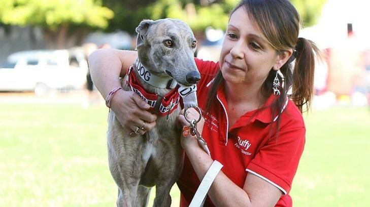 Buffy Ashley of 'Grey Hounds New Beginnings' sits with Dakota during the RSPCA Big Adopt Out at the RNA Showgrounds. Photo: Lisa Maree Williams