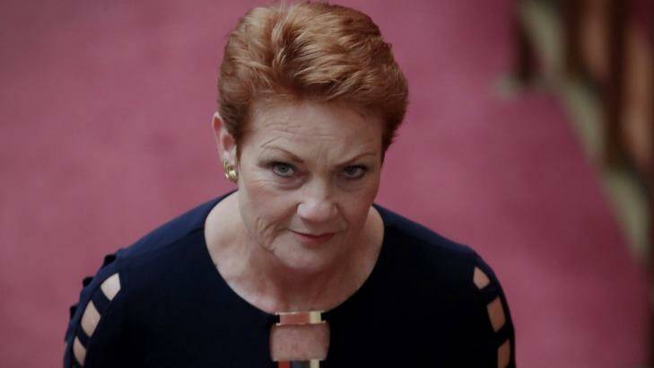 Senator Pauline Hanson's One Nation party has become a protest party, according to Professor Ian McAllister.  Photo: Andrew Meares