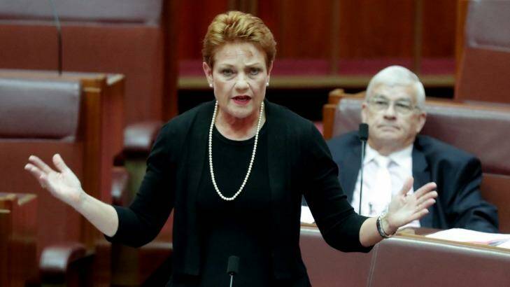 Pauline Hanson's One Nation has been drawing voters from the left and the right.  Photo: Andrew Meares