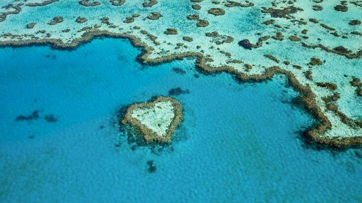 Queensland's Great Barrier Reef, guarding against possible tsunamis. Photo: Fairfax Media