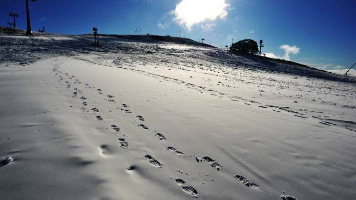 Mt Buller is primed for the opening of the ski season this weekend.  Photo: Joe Armao