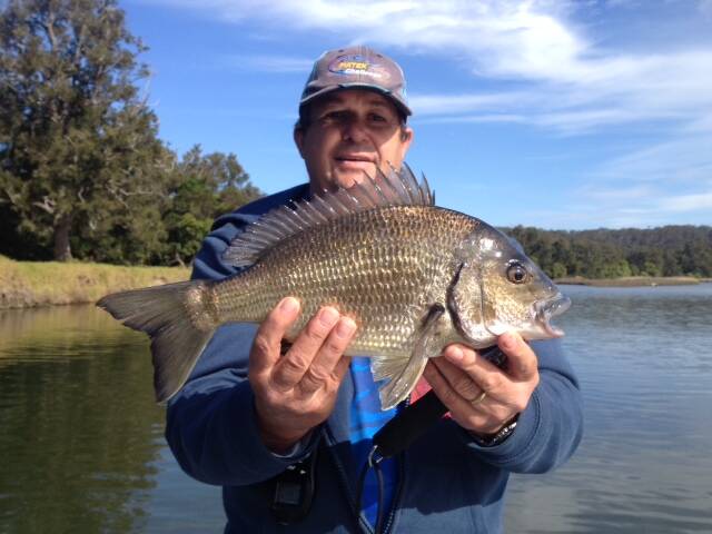 Merimbula Big Game and Lakes Angling Club member Glen Rollason with a magnificent black bream just before its release back into the Bega River.