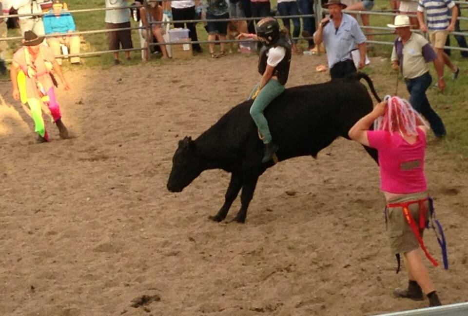 Action from the ladies heifer ride during the 2013 Cobargo Show.