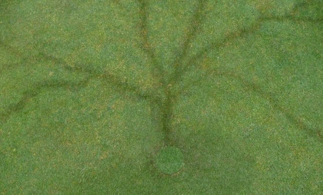 Lightning leaves its mark on Narooma golf course