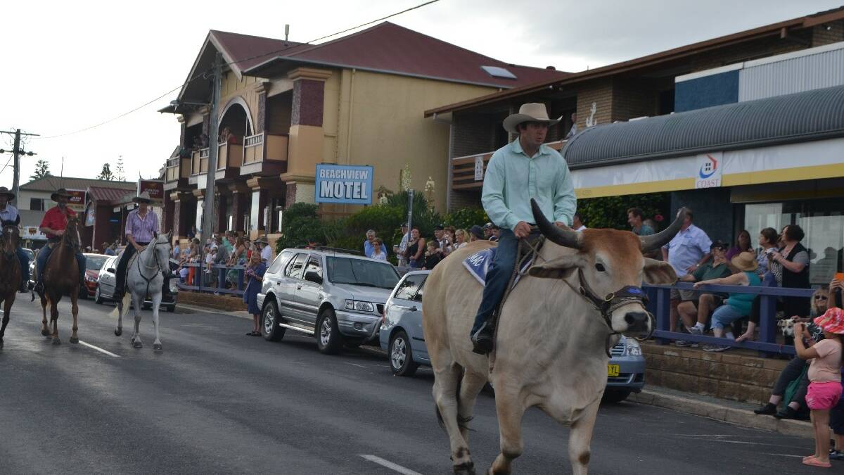 BIG MAC: Mac the steer ridden by Wade Mathie of Bodalla was awarded the Best with Animal award in the Bermagui Seaside Fair parade. 