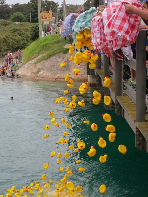 Photos of the Narooma Rotary Australia Day Duck Race