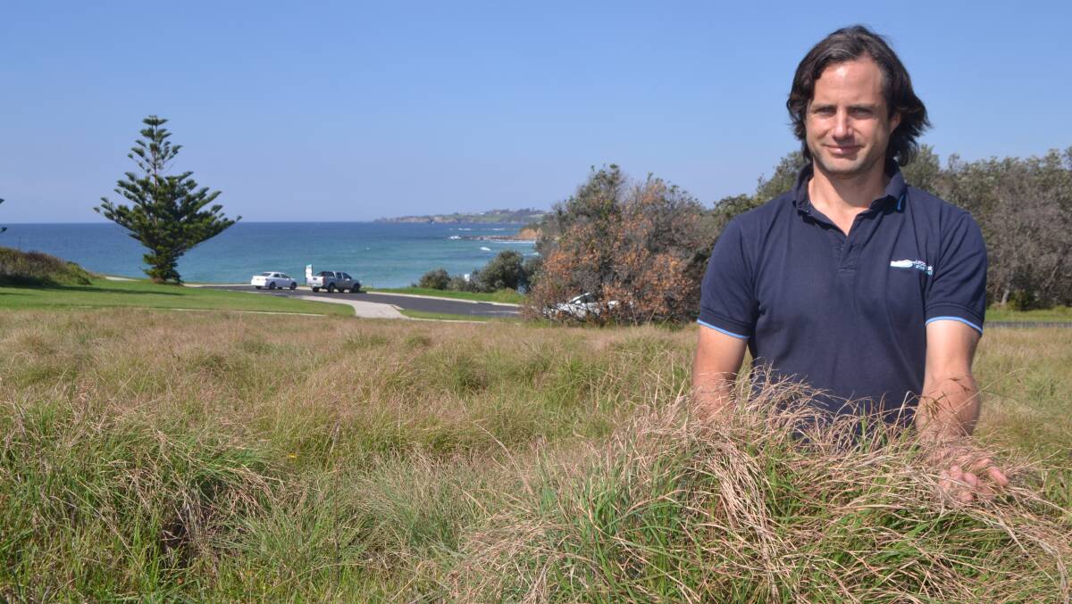 NATIVE HABITAT: Council environment and sustainability officer Tom Dexter in the centre of the native kangaroo grass field on Duesbury Point, Dalmeny. 