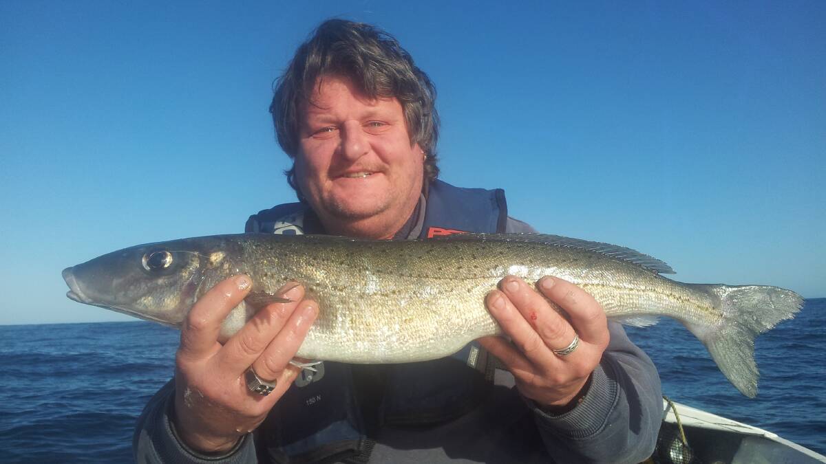 The rare and monster King George whiting caught at Batemans Bay