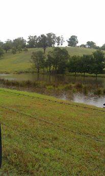 
EURO RAIN: Jalisa English just reported 220mm on her property at Eurobodalla Road west of Bodalla.
