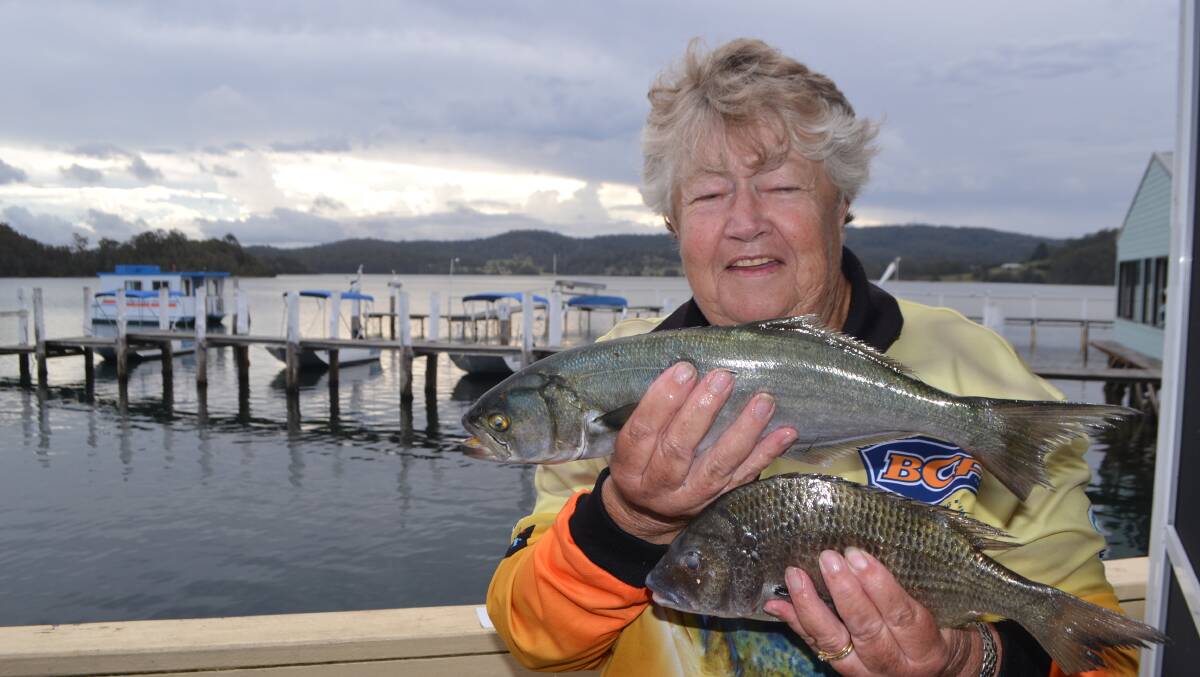 MUM’S CATCH: Faye Hanson from the Nowra Sports Fishing Club with her tailor the biggest 0.58kg caught on 1kg line in Wagonga Inlet on Saturday. 