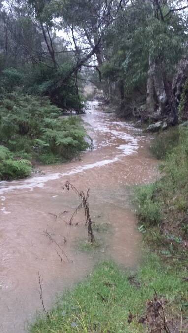 RAIN EVENT: Narooma resident Dave Moran posted some photos of the creek at his Tilba property on his Facebook entitled the "rain event of 2014".