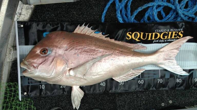 FUNNY CATCH: Brent Lockton attempted to pass of this snapper borrowed from a local service station as best bycatch.
