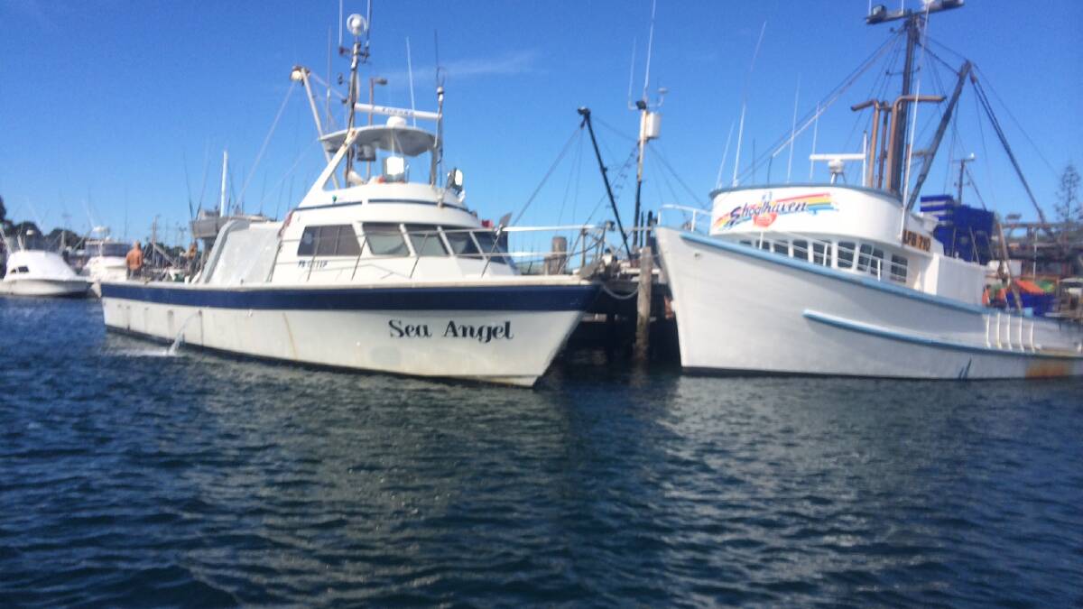 

WORKING BOATS: Two of the hardest working boats at the at the Bermagui Fisherman’s Wharf on Saturday – the long-liner Sea Angel and trawler Shoalhaven.
