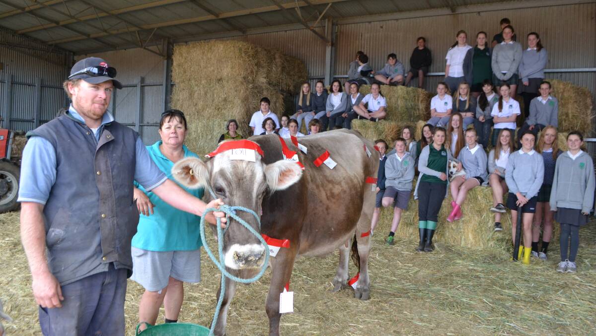 Photos of the Narooma High School ag atudents having fun on the dairy