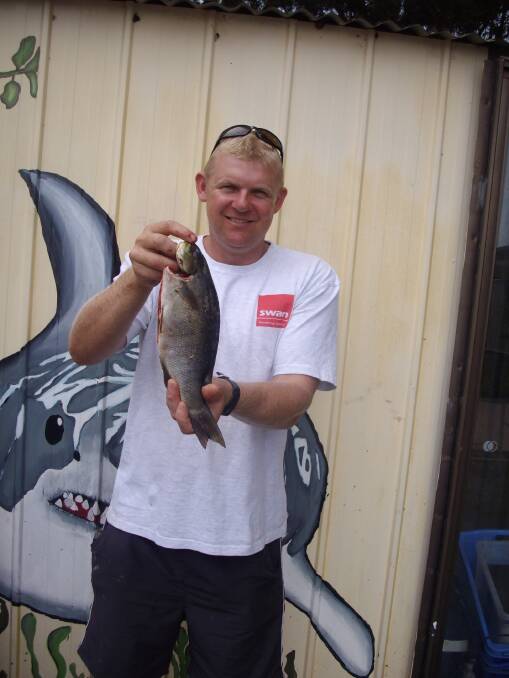 BLACKFISH: Club Dalmeny fisherman Andrew 'Milko' Cowley with a nice 1/2kg blackfish caught in Sunday's competition. 