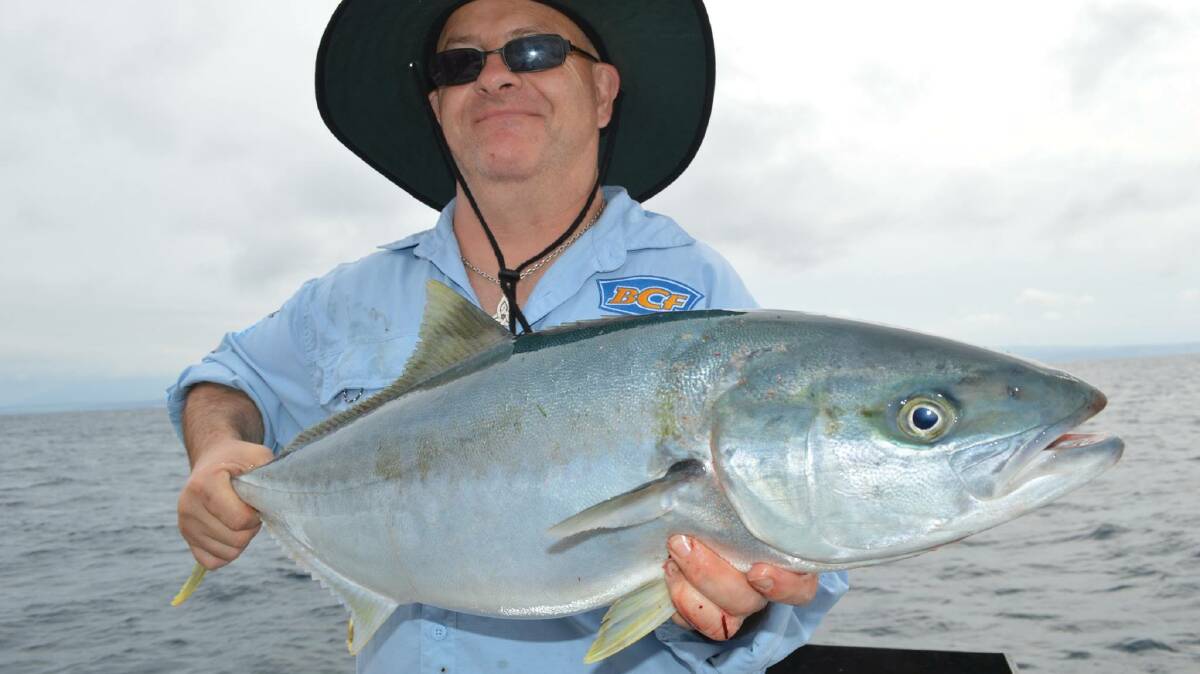 SHALLOW KING: Roy with a solid Montague Island kingfish caught with Wazza and Lighthouse Charters last week, it's the biggest fish he has ever caught and they got it in only 14m of water - well done Roy and Waz! 
 