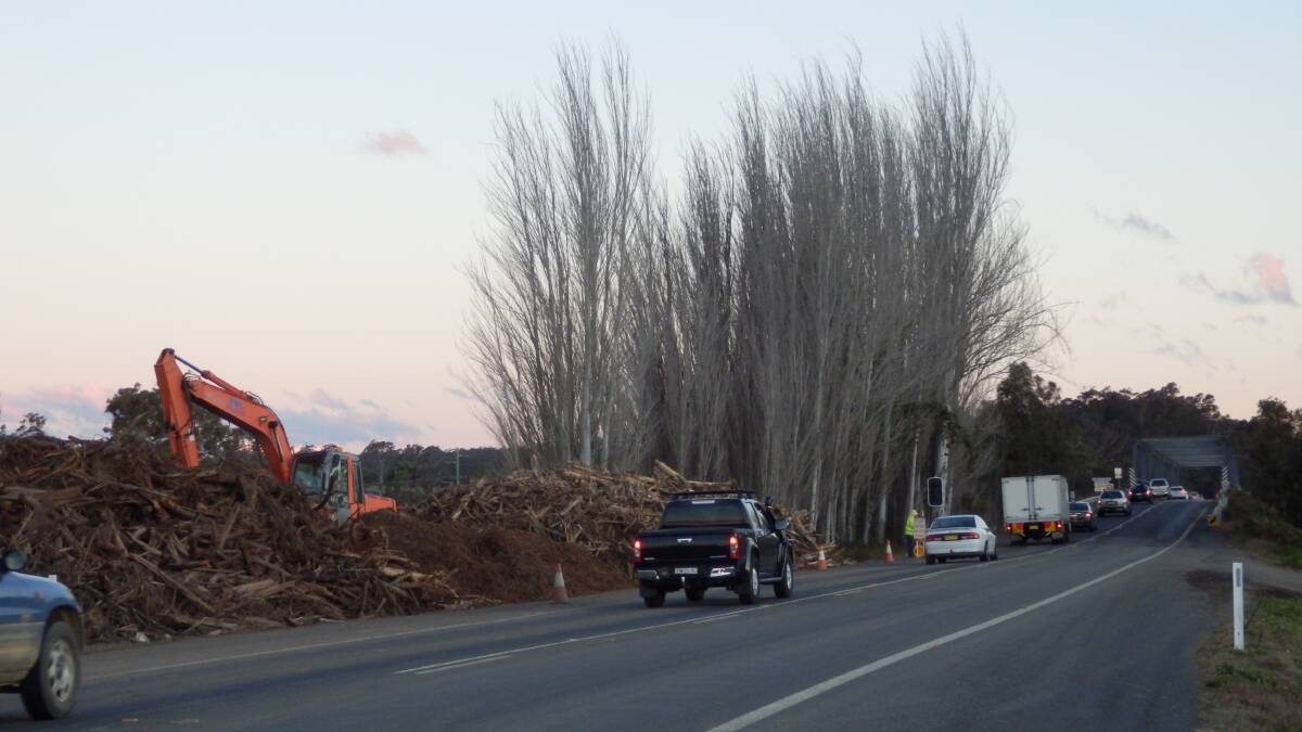 LONG LINES: A long line of traffic moves past the cleared trees, near the Tuross River Bridge on the Princes Highway. 