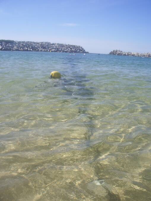 REPAIRS NEEDED: Narooma resident Ingrid Smith sent us these photos of the sorry state Bar Beach shark net. 