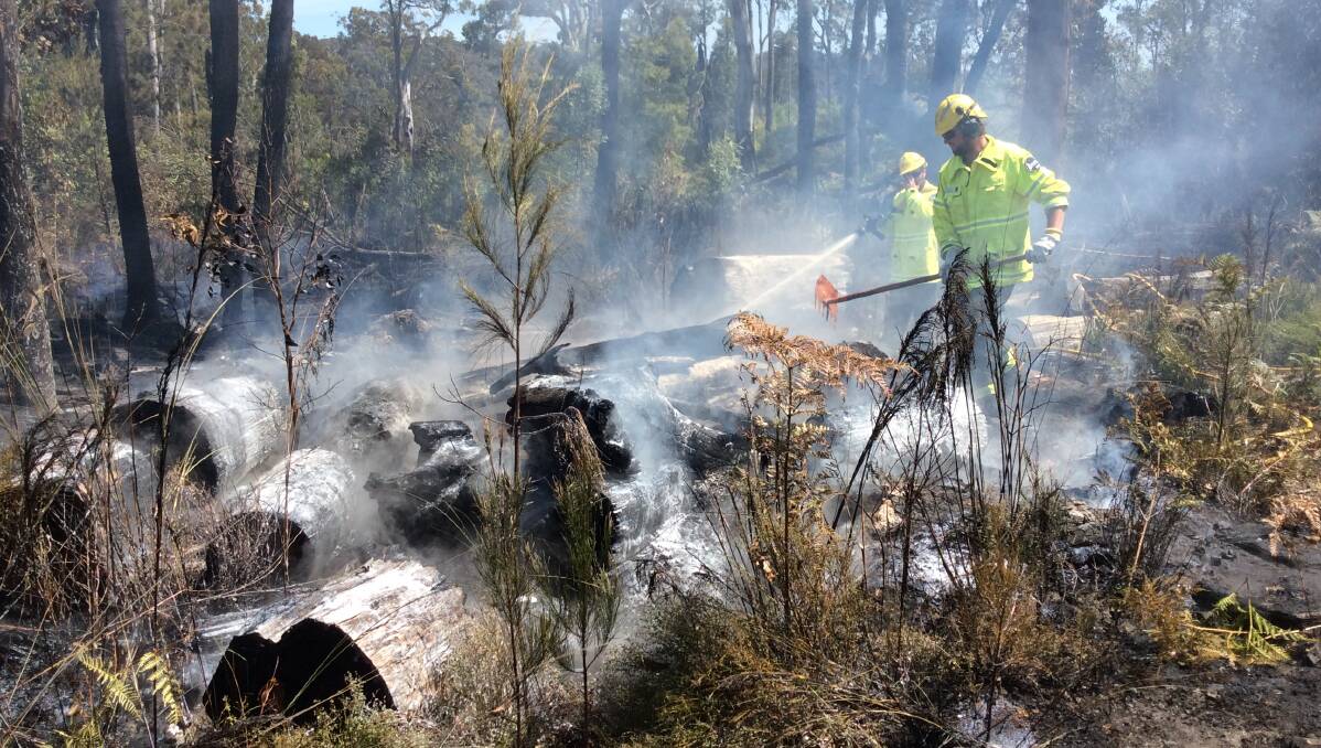 BLAZE EXTINGUISHED: Forestry crews work to extinguish the fire that broke out near Eden on Wednesday. 