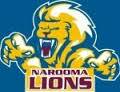 Narooma AFL Lions defeated by Panthers