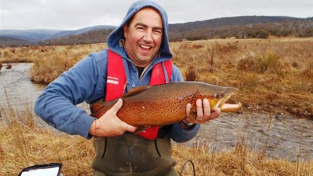 NICE BROWN: A nice spawning run brown trout caught in the Snowy Mountains.