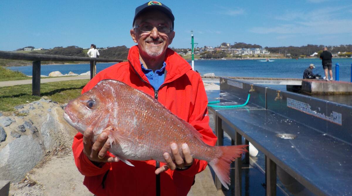 All the catches of the week from the Narooma area